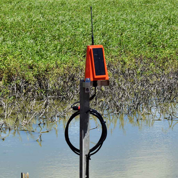 Head Ditch Monitoring